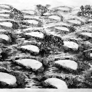 malatsion, A story of water and earth. Harvesting half moons, 2025
