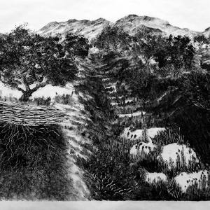 malatsion, A story of water and earth. Straw and fungi, 2025