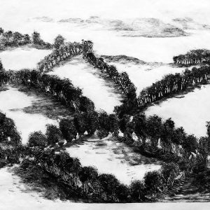 malatsion, A story of water and earth. The linear forest, 2025