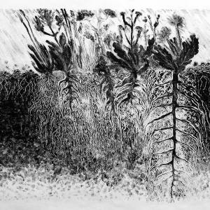 malatsion, A story of water and earth. Infiltration helpers, 2025