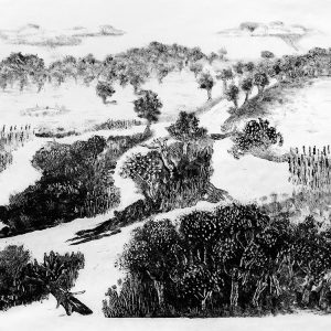 malatsion, A story of water and earth. Space to reconnect, 2025