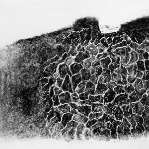 malatsion, A story of water and earth. Rooting water, 2024