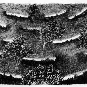 malatsion, A story of water and earth. Catching the run-off, 2024