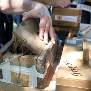 malatsion, colméias, 2016