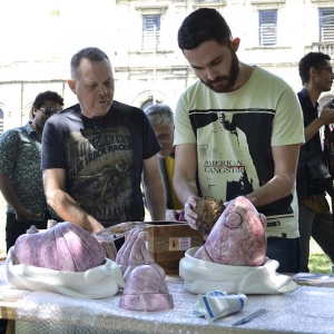 malatsion, colméias, 2016