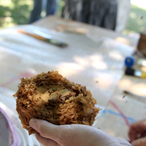 malatsion, colméias, 2016