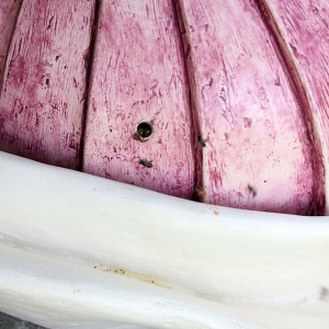 malatsion, colméias, 2016