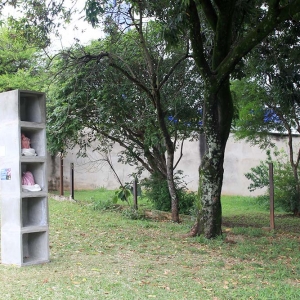 malatsion, colméias, 2016