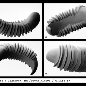 malatsion, "du n° 026B77 au n° 033L89",ID sheet for n° 031D64, 2015-2017