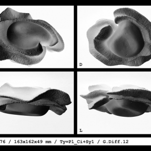 malatsion, "du n° 026B77 au n° 033L89",ID sheet for n° 031J76, 2015-2017