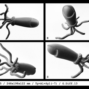 malatsion, "du n° 026B77 au n° 033L89",ID sheet for n° 032U55, 2015-2017