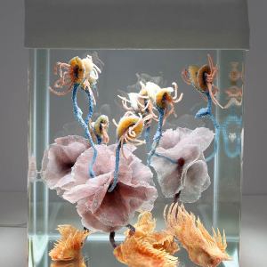 Healing processes. Holobiont ID_026, 2020