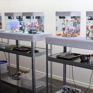 malatsion, Healing processes. Holobionts, 2020-2021