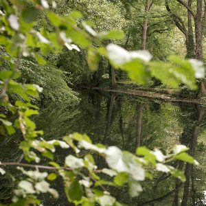 Kiesel Sand Modder, Performance für einen Pfuhl, 2021