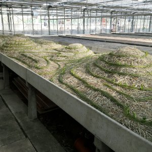 malatsion, "Schwammlandschaft", 2023