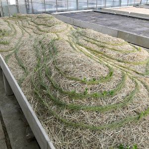 malatsion, "Schwammlandschaft", 2023