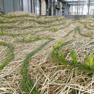 malatsion, "Schwammlandschaft", 2023