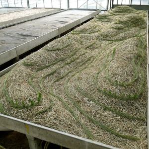 malatsion, "Schwammlandschaft", 2023