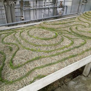 malatsion, "Schwammlandschaft", 2023