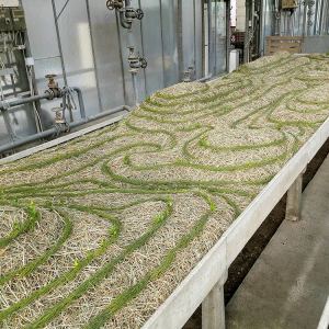 malatsion, "Schwammlandschaft", 2023