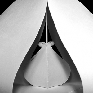 malatsion, "© semons #007", 2010, Detail
